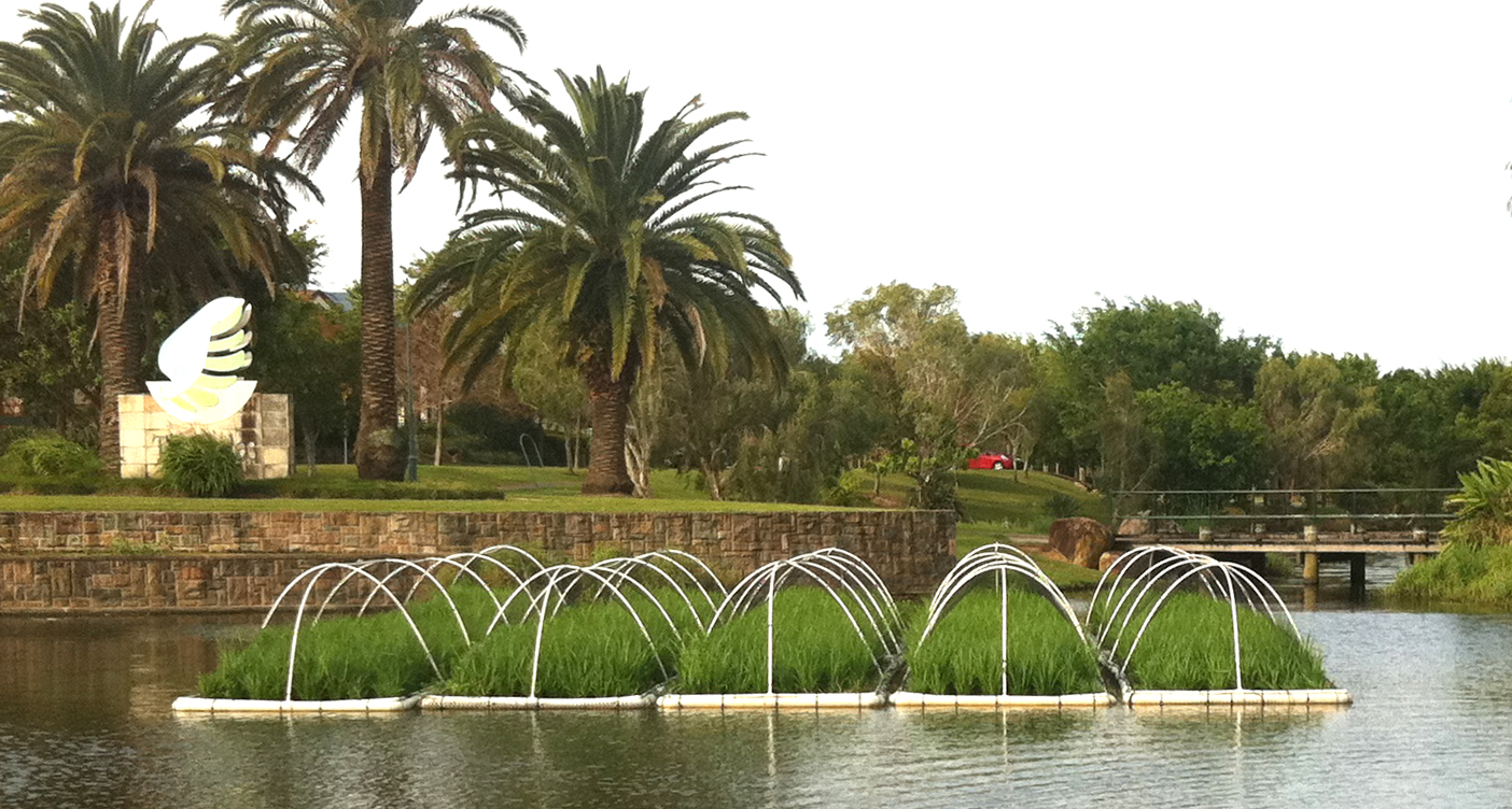 Islands, Aqua Biofilter, Aquaponics, Floating Reedbeds, Aquaponics 