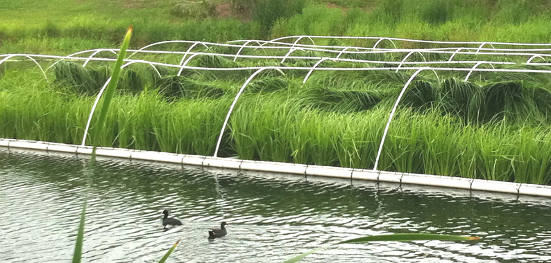 Floating Wetlands, Floating Islands, Aqua Biofilter ...