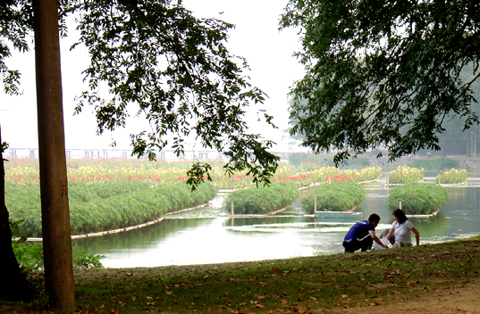 Aqua Biofilter™ Floating Wetlands &amp; Floating Islands