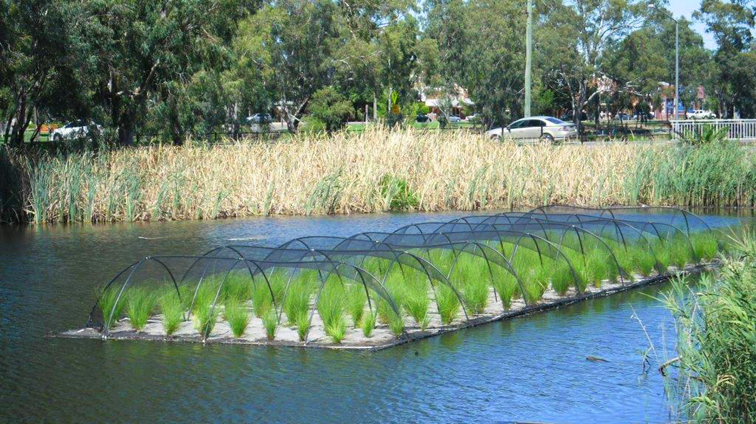 Floating Wetlands, Floating Islands, Aqua Biofilter ...