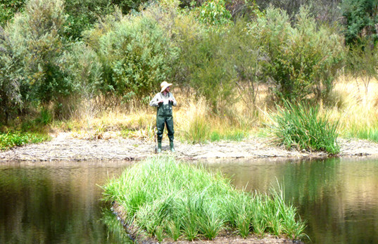 Floating Wetlands, Floating Islands, Aqua Biofilter ...