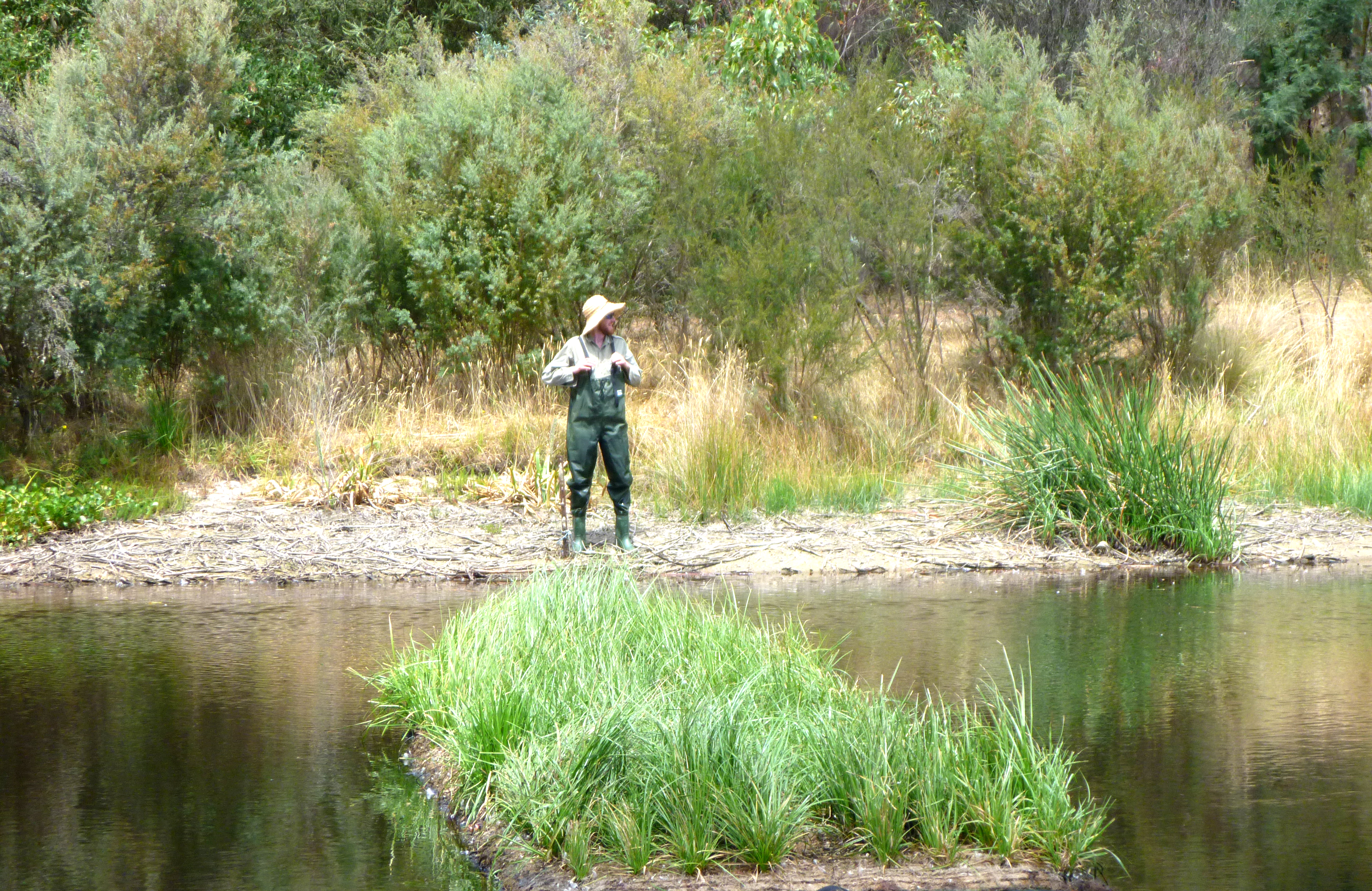 Aqua-Biofilter-floating-reedbeds-1