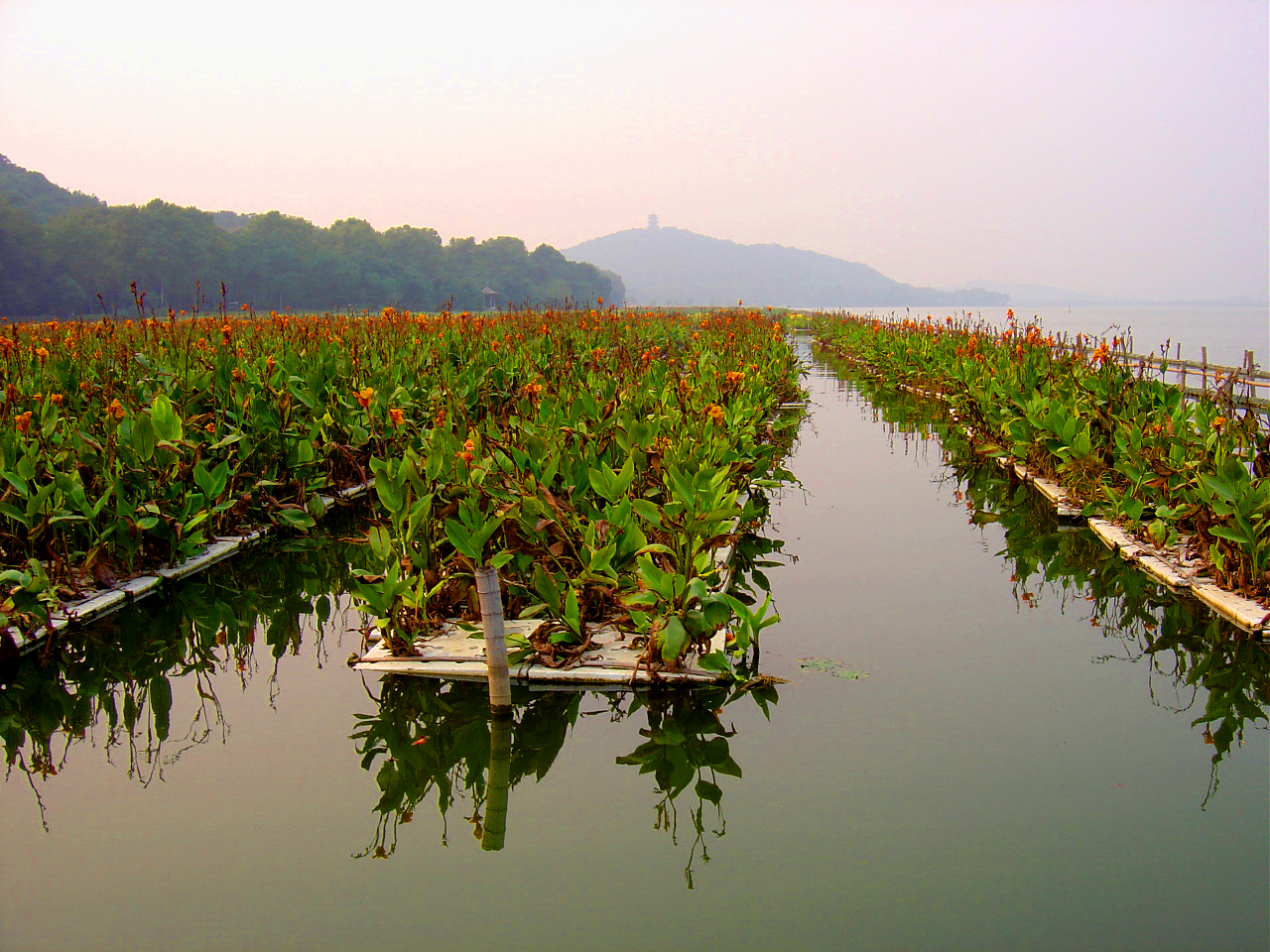 Floating Wetlands, Floating Islands, Aqua Biofilter ...