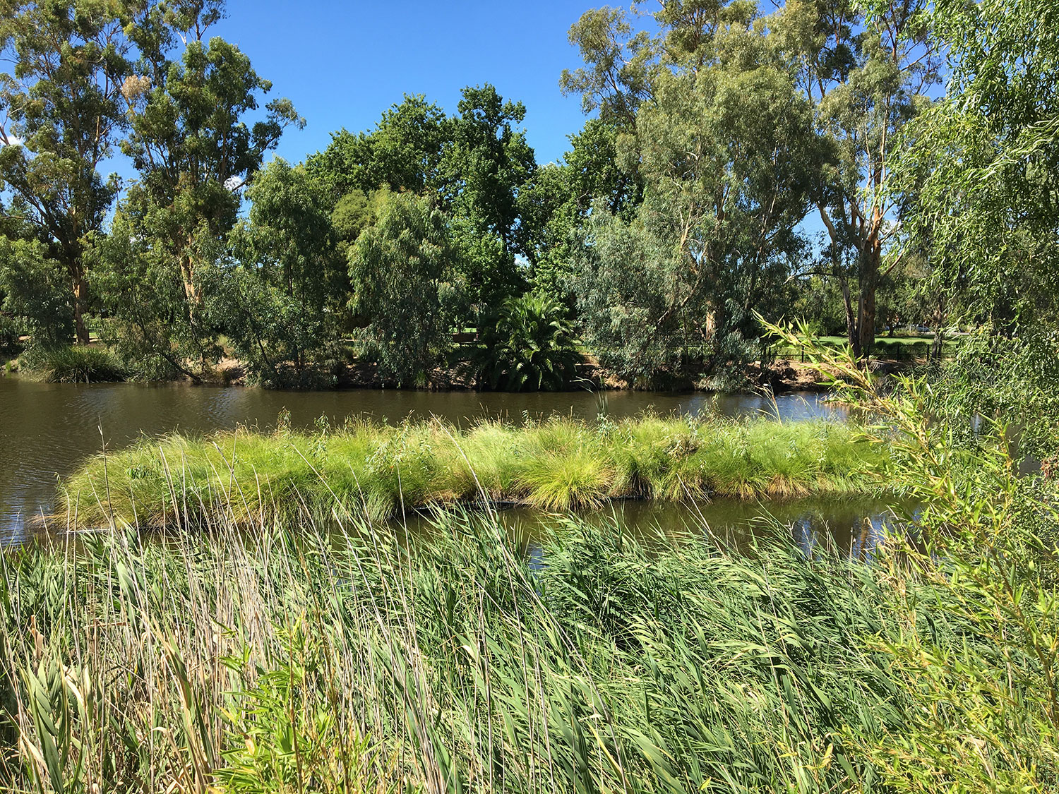 AquaBiofilter Floating Wetlands Floating Islands Floating Reed Beds Wagga 1